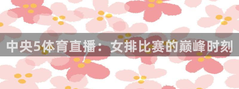足球直播飞速直播