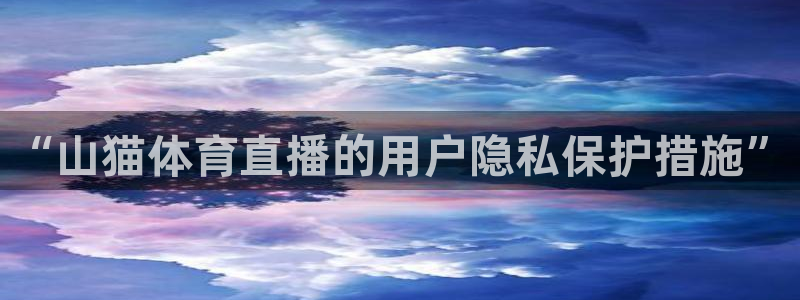 飞速直播体育在线直播