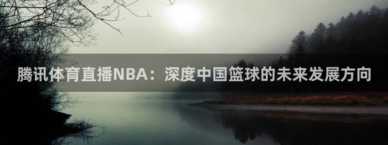 nba飞速直播nba：腾讯体育直播NBA：深度中国篮球的未来发展方向